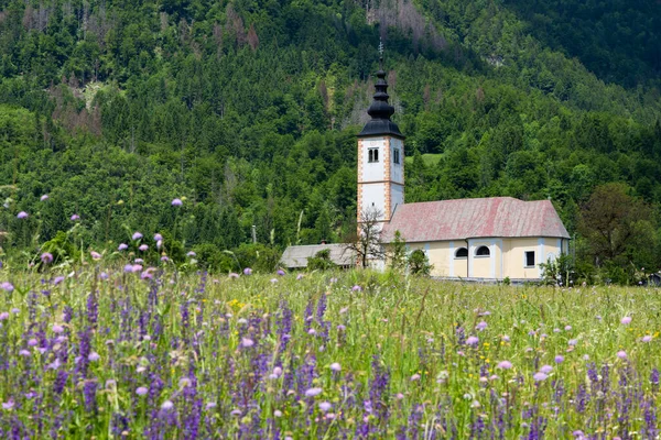 Kostel Jerece Jezera Bohinj Slovinsku — Stock fotografie