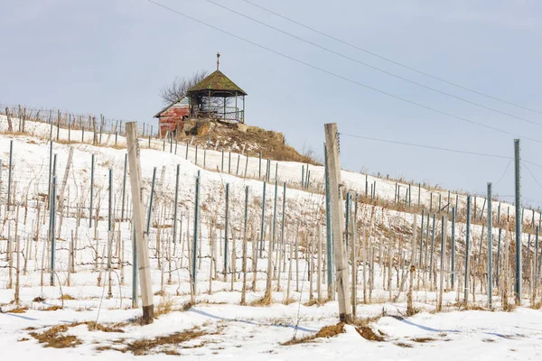 Adegas Perto Vinicky Região Tokaj Eslováquia — Fotografia de Stock