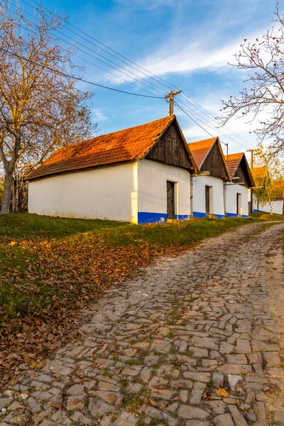 Vlcnov Şarap Mahzenleri Güney Moravya Çek Cumhuriyeti — Stok fotoğraf