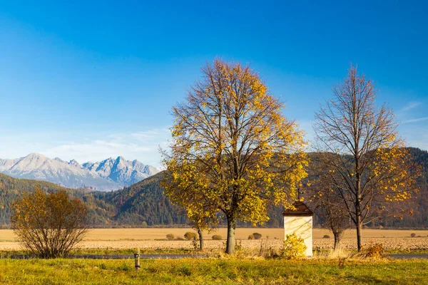 Kapell Med Ett Träd Low Tatras Med Bakgrund High Tatras — Stockfoto