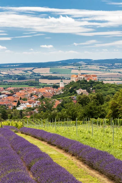 Die Südmährische Stadt Mikulov Mit Dem Lavendelfeld Tschechien — Stockfoto