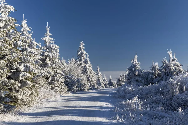 Winterlandschaft Der Nähe Von Velka Destna Orlicke Gebirge Ostböhmen Tschechien — Stockfoto