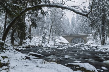 Zemska Brana 'daki Divoka Orlice Nehri, Orlicke Dağları, Doğu Bohemya, Çek Cumhuriyeti