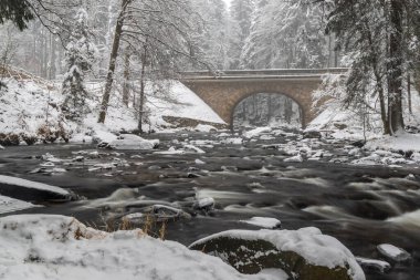 Zemska Brana 'daki Divoka Orlice Nehri, Orlicke Dağları, Doğu Bohemya, Çek Cumhuriyeti