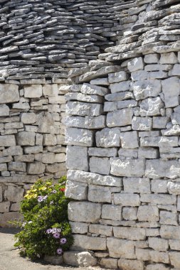Trulli evleri Alberobello 'da, UNESCO sitesi, Apulia bölgesi, İtalya
