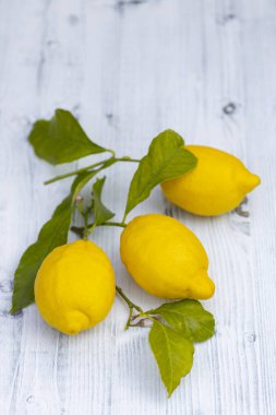 Sorrento yapraklı limonlarla dolu bir hayat