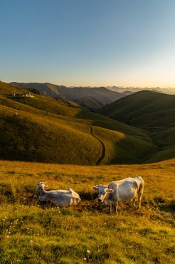 Monte Grappa yakınlarındaki yaz manzarası, Kuzey İtalya
