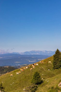 Monte Grappa yakınlarındaki yaz manzarası, Kuzey İtalya