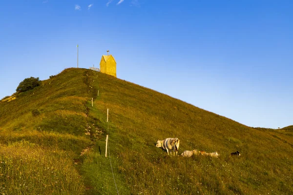 Krajobraz Letni Pobliżu Monte Grappa Północne Włochy — Zdjęcie stockowe