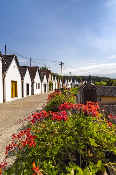 Wine Cellars Villanykovesd Villany Hungary — Stock Photo, Image