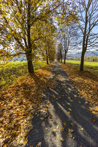 Ruelle Automne Près Banhorvati Dans Nord Hongrie Hongrie — Photo