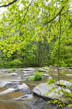 Çek Cumhuriyeti, Smrcna yakınlarındaki Sazava nehri