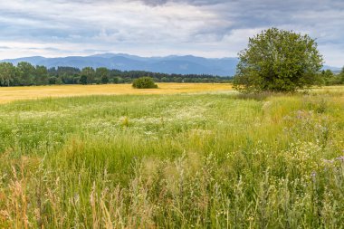 Nizke Tatry (Low Tatras), Slovakya