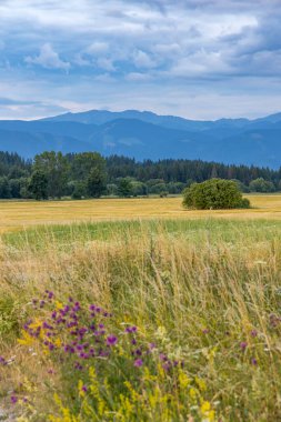 Nizke Tatry (Low Tatras), Slovakya