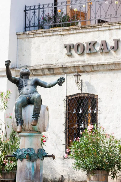 Macaristan, Tokaj 'daki merkez meydan