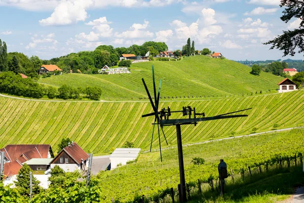 Vingård Med Väderkvarn Som Heter Klapotetz Södra Steiermark Österrike — Stockfoto
