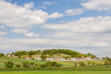 Weinviertel, Avusturya 'daki Galgenberg' de şarap yolu.