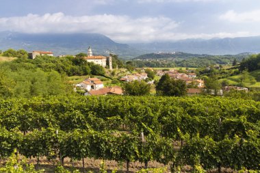 Slovenya 'nın Gorice bölgesindeki Vipava vadisi