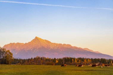 Krivan, Hight Tatras, Slovakya