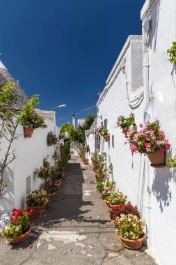 Trulli evleri Alberobello 'da, UNESCO sitesi, Apulia bölgesi, İtalya