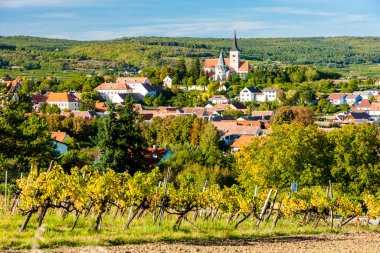 Avusturya 'da Pulkau yakınlarındaki üzüm bağları