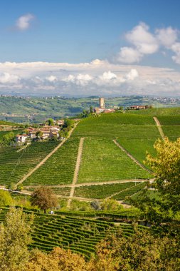 Barbaresco village and vineyards, Unesco Site, Piedmont, Northern Italy clipart