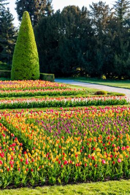 Lednice Sarayı Bahçesi, Çek Cumhuriyeti