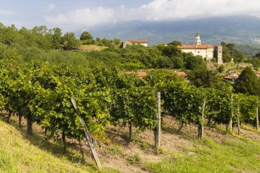 Slovenya 'nın Gorice bölgesindeki Vipava vadisi