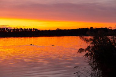 Güney Bohemya, Çek Cumhuriyeti 'nin Pisek kasabası yakınlarındaki Rezabinec gölünün üzerinde gün batımı