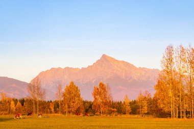Krivan, Hight Tatras, Slovakya