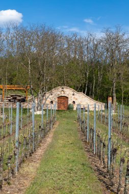Şarap mahzeni, Palava bölgesi, Güney Moravya, Çek Cumhuriyeti