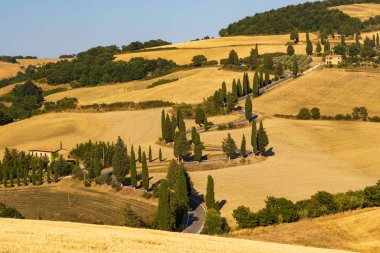 Cipressi di Monticchielo, İtalya, Montepulciano yakınlarındaki Tipik Toskana manzarası