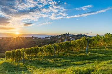 Avusturya 'nın en yüksek üzüm bağları Kitzeck im Sausal, Styria, Avusturya