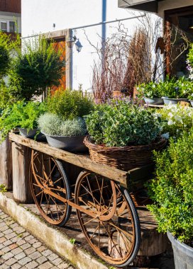 Cortina d 'Ampezzo, Belluno ili, Güney Tyrol, İtalya