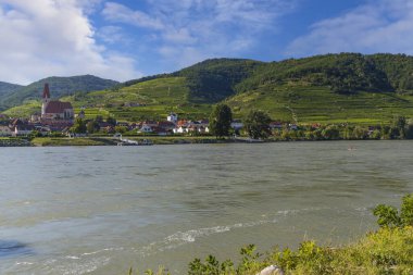 Durnstein yakınlarındaki Wachau vadisi, UNESCO sahası, üzüm bağları ve Tuna nehri, Avusturya