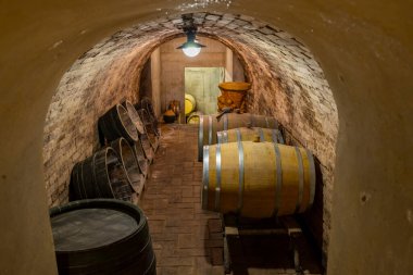 Batorove Kosihy, Slovakya yakınlarındaki bir şaraphanede tahta meşe fıçıları.