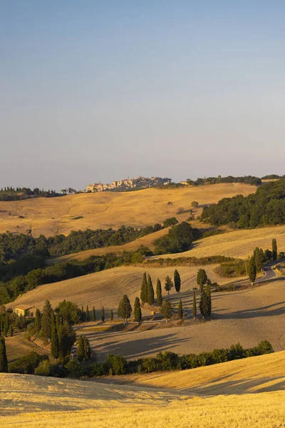 Cipressi Monticchielo イタリアのMontepulciano近くの典型的なトスカーナの風景 — ストック写真