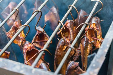 Tütsülenmiş balığın hayatı