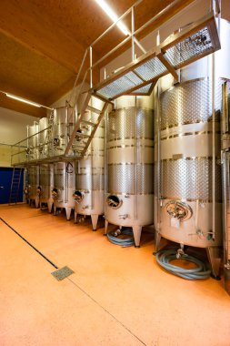 Viyana yakınlarındaki Traiskirchen 'de şarap mahzeni, Thermenregion, Avusturya