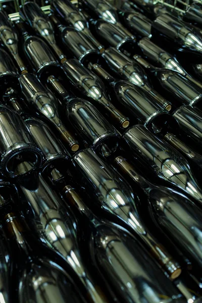 Bottles Wine Old Cellar Center Eger Northern Hungary — Stock Photo, Image