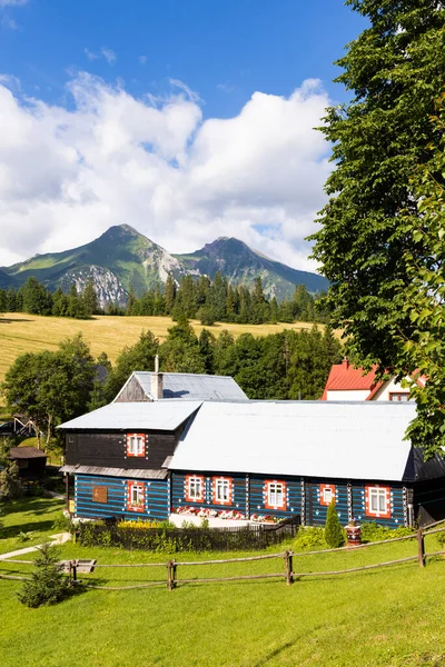 Architettura Popolare Zdar Sotto Belianske Tatra Slovacchia — Foto Stock