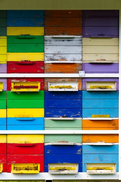 Bee Hive Vipavska Dolina Slovenia — Stock Photo, Image