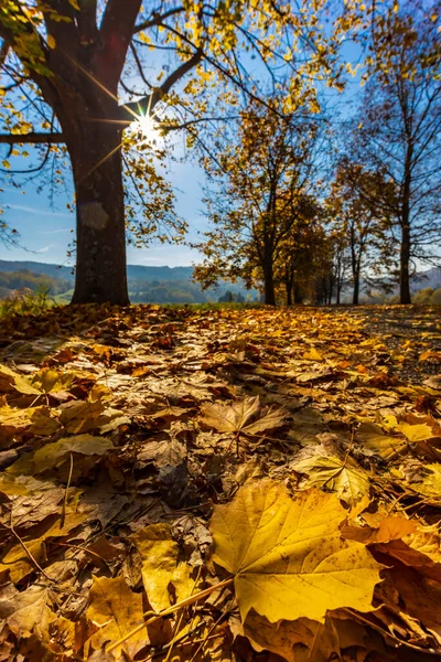 Vicolo Autunnale Vicino Banhorvati Nell Ungheria Settentrionale Ungheria — Foto Stock