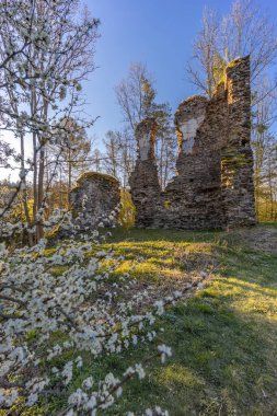 Chlum kalıntıları 13. yüzyıldan, Zbysov yakınlarında, Orta Bohemya, Çek Cumhuriyeti