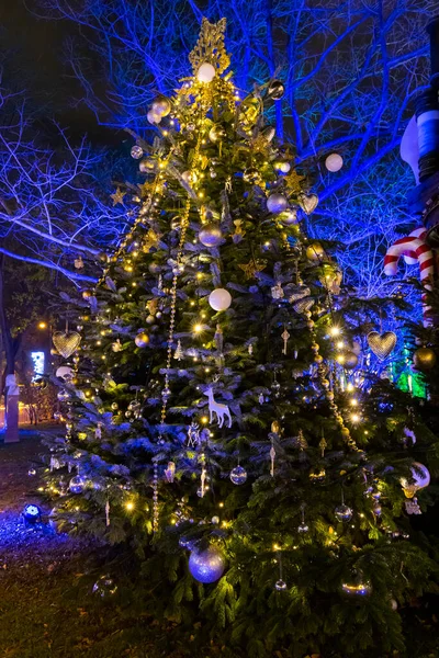 Albero Natale Vienna Austria — Foto Stock