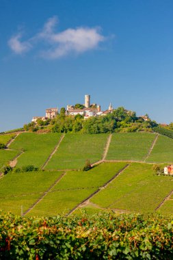 Şato ve köy Castiglione Falletto, Piemonte, İtalya