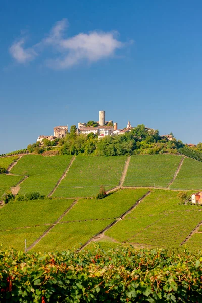 Slott Landsby Castiglione Falletto Piemonte Italia – stockfoto