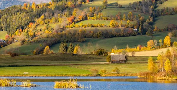 Осенний Пруд Горами Район Мурау — стоковое фото