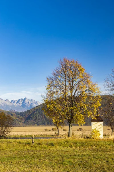 Cappella Con Albero Basso Tatra Con Sfondo Alti Tatra Slovacchia — Foto Stock