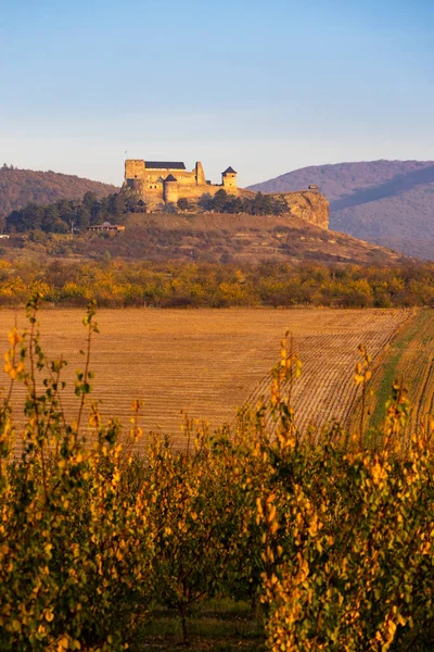 Castle Boldogko Northern Hungary — Stock Photo, Image